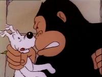 The Adventures Of Tintin